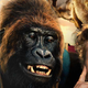 Illustration for article titled Let's rank the animals of Robert Downey Jr.'s Dolittle poster and trailer
